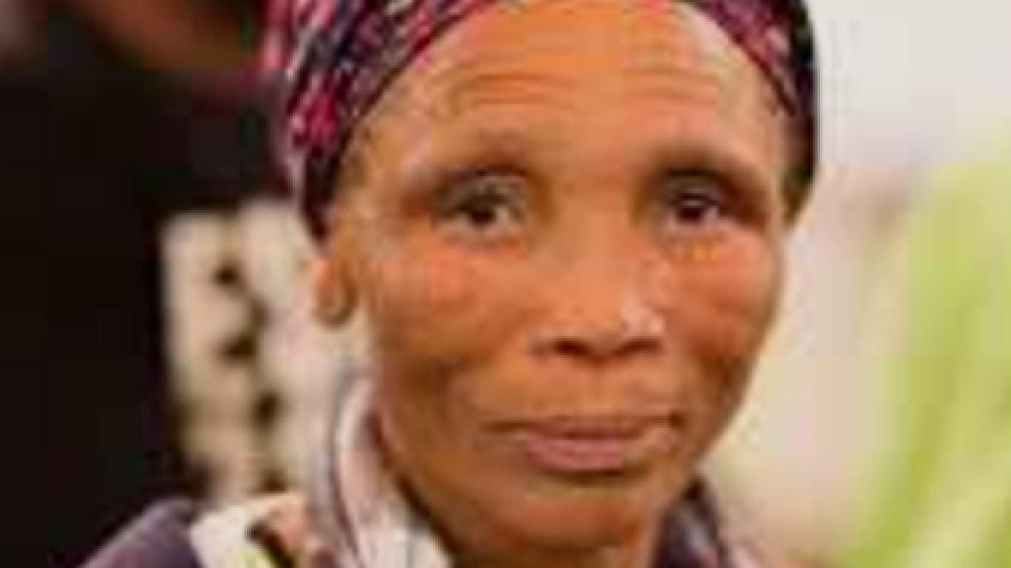 Upgradable cohesive knowledge user