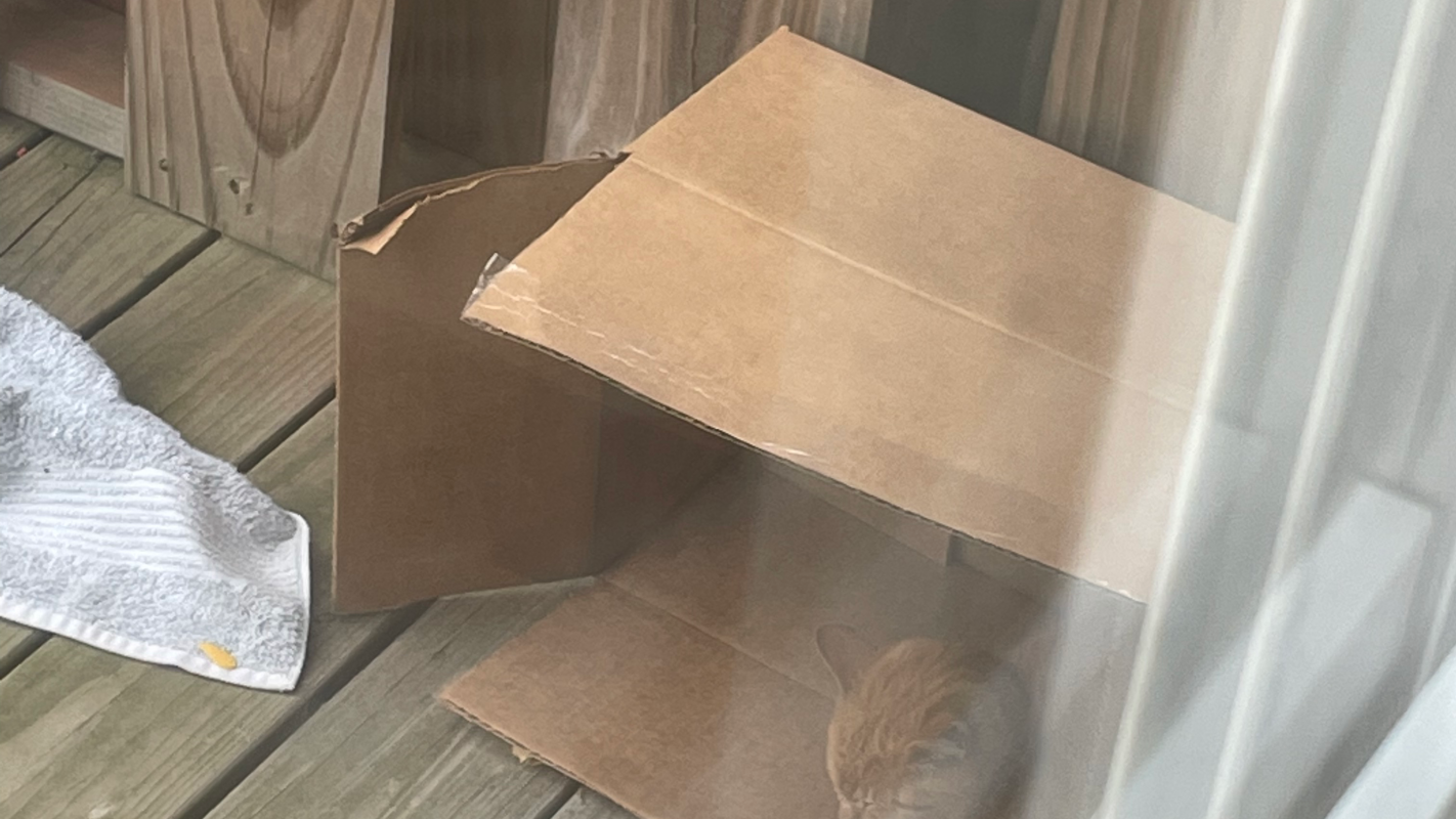 Heyy we shahs she haha