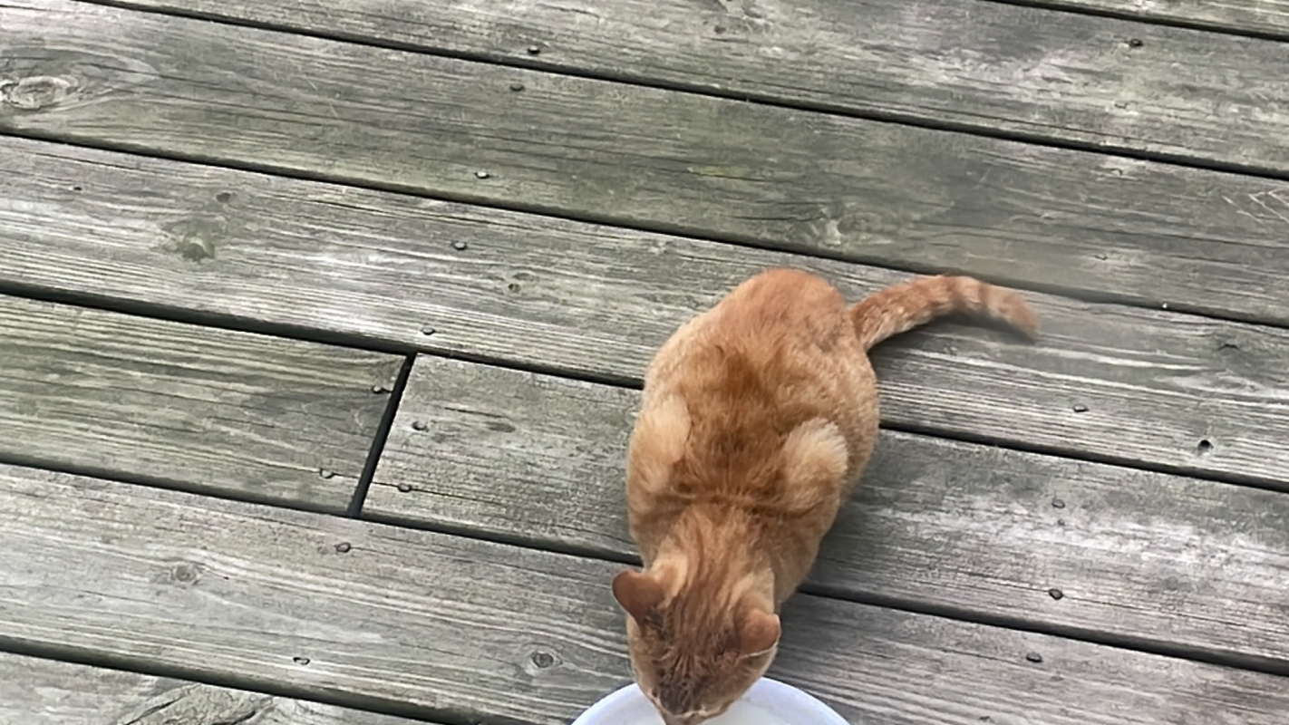 Testing uploader thing